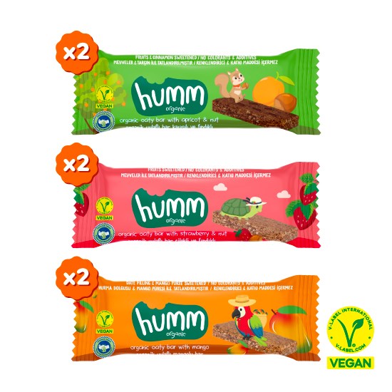 Organic Vegan Strawberry, Apricot & Mango Oat Bar Snack Pack - 6 Pieces (3 Flavors)