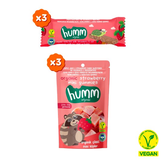 Organic Vegan Strawberry Snack Pack - 6 Pieces (2 Varieties)