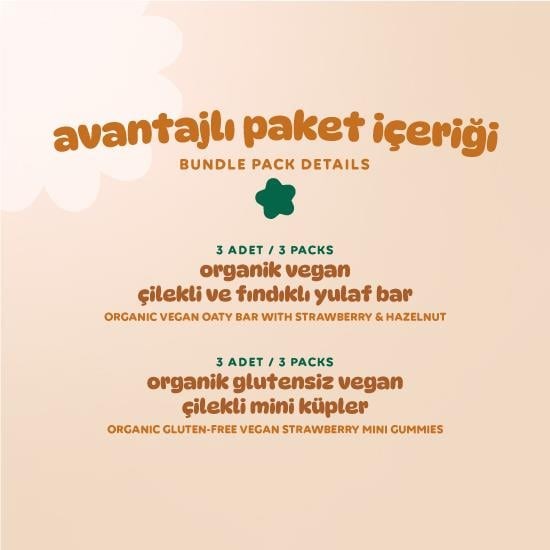 Organic Vegan Strawberry Snack Pack - 6 Pieces (2 Varieties)