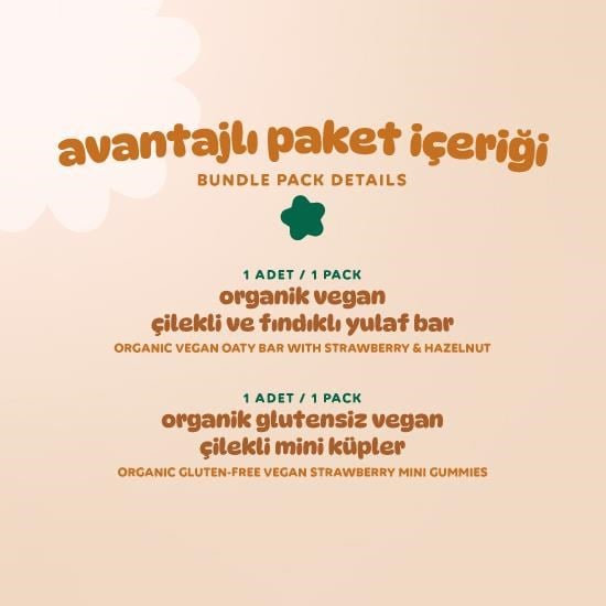 Organic Vegan Strawberry Snack Pack - 2 Pieces (2 Varieties)