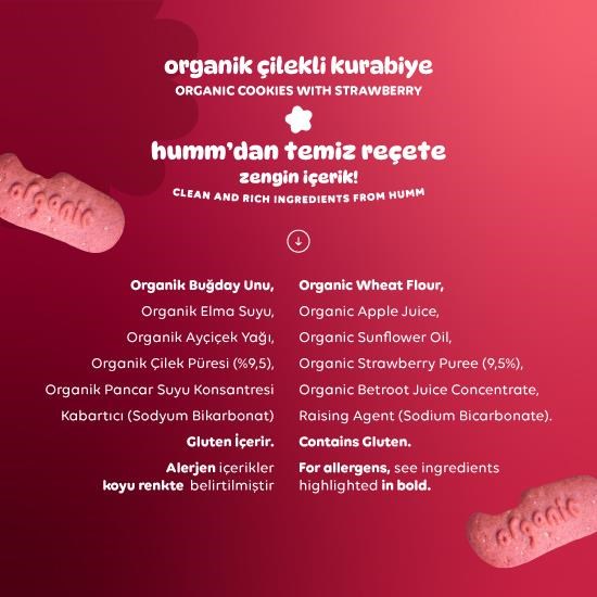 Organik Vegan Çilekli Kurabiye Atıştırmalık Paketi - 12 adet