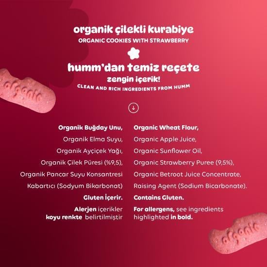 Organik Vegan Çilekli Kurabiye Atıştırmalık Paketi - 12 adet