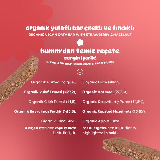 Organik Vegan Çilekli ve Fındıklı Yulaf Bar - 27g