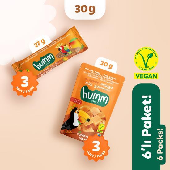 Organic Vegan Mango Fruit Cubes & Oat Bar Snack Pack – 6 Pieces (2 Varieties)