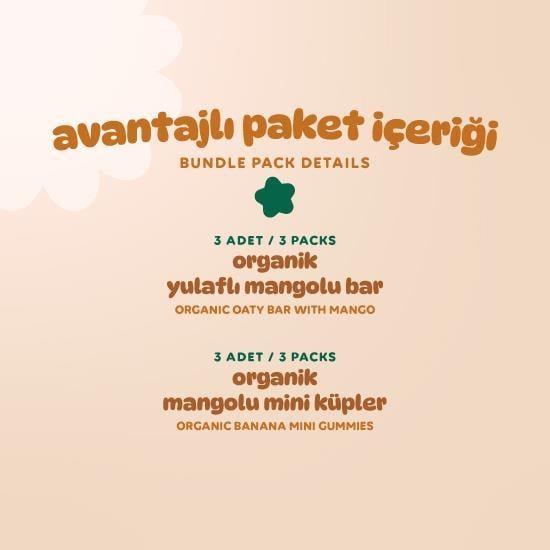 Organic Vegan Mango Fruit Cubes & Oat Bar Snack Pack – 6 Pieces (2 Varieties)