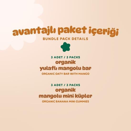 Organic Vegan Mango Fruit Cubes & Oat Bar Snack Pack – 6 Pieces (2 Varieties)