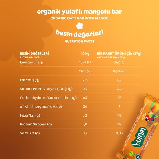 Organic Vegan Mango Oat Bar - 27