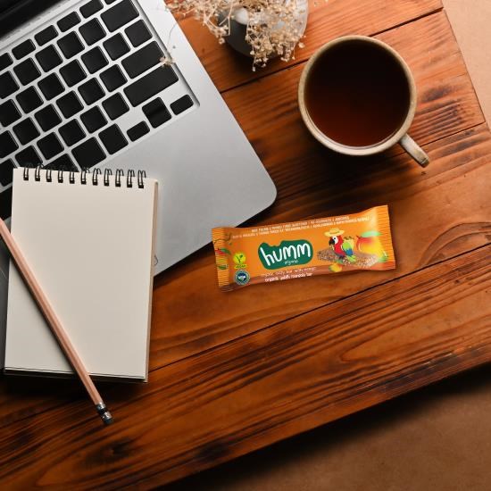 Organic Vegan Mango Oat Bar - 27