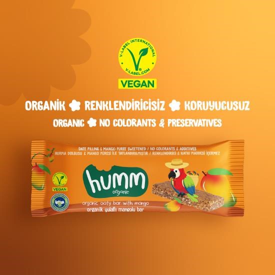 Organic Vegan Mango Oat Bar - 27