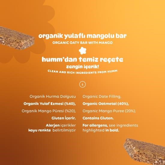 Organic Vegan Mango Oat Bar - 27