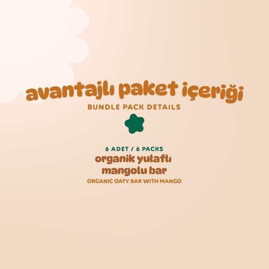 Organic Vegan Mango Oat Bars - 6 Pieces