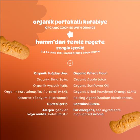 Organik Vegan Portakallı Kurabiye Atıştırmalık Paketi - 6 adet