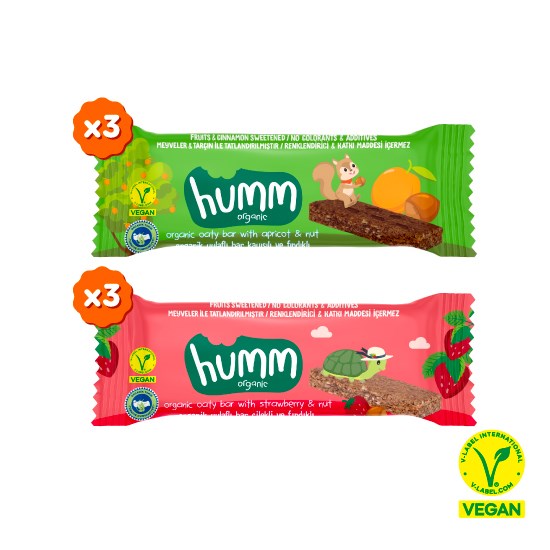 Organic Vegan Oat Bar Snack Pack - 6 Pieces (2 Varieties)