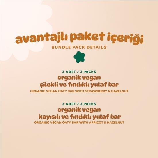 Organic Vegan Oat Bar Snack Pack - 6 Pieces (2 Varieties)
