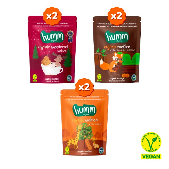 Organic Vegan Ginger, Carob & Orange Sweet Cookies Snack Pack – 6 Pieces (3 Varieties)