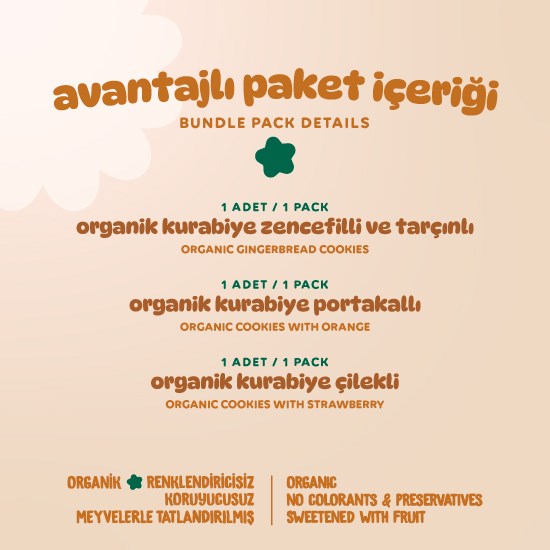 Organik Vegan Zencefilli Portakallı Çilekli Kurabiyeler Atıştırmalık Paketi - 3 Adet (3 Çeşit)