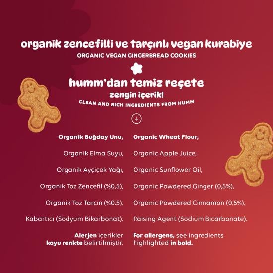 Organik Vegan Zencefilli ve Tarçınlı Kurabiye - 55g