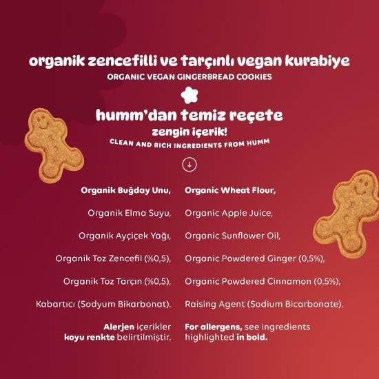 Organik Vegan Zencefilli ve Tarçınlı Kurabiye - 6 adet