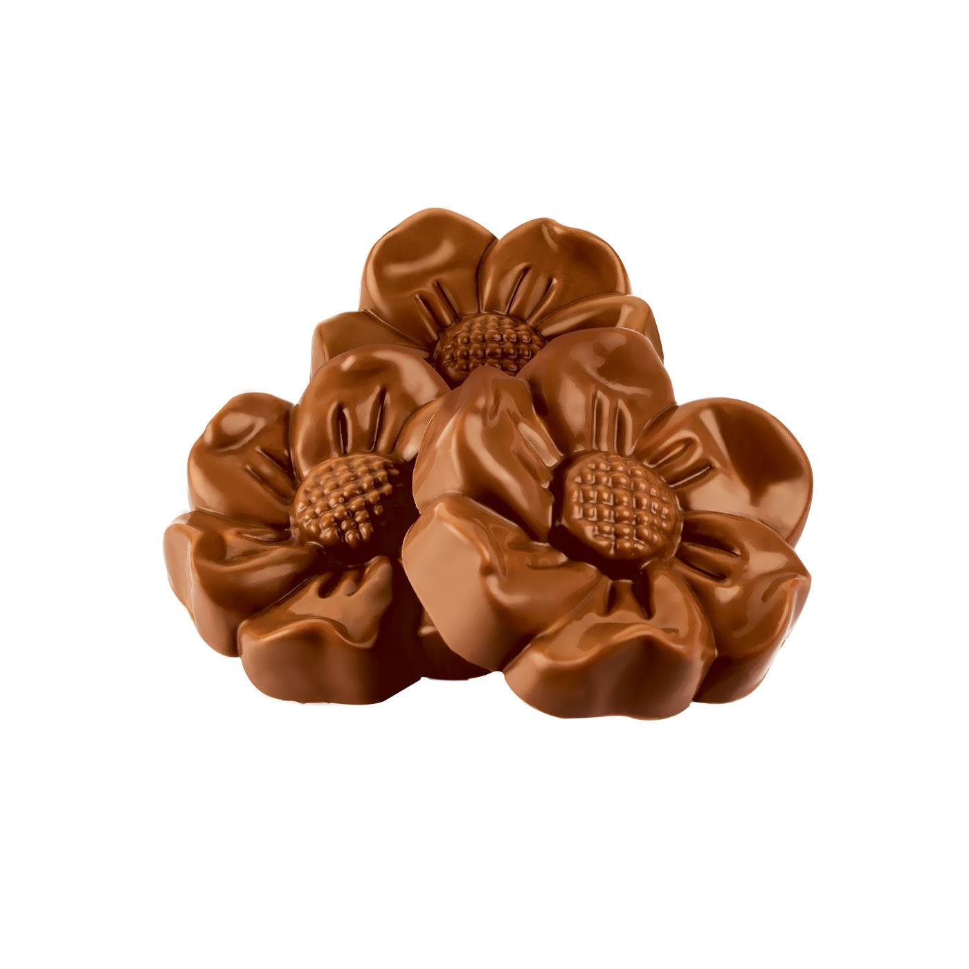 Krep Kırıklı Bütün Fındıklı Sütlü Çikolata 120g