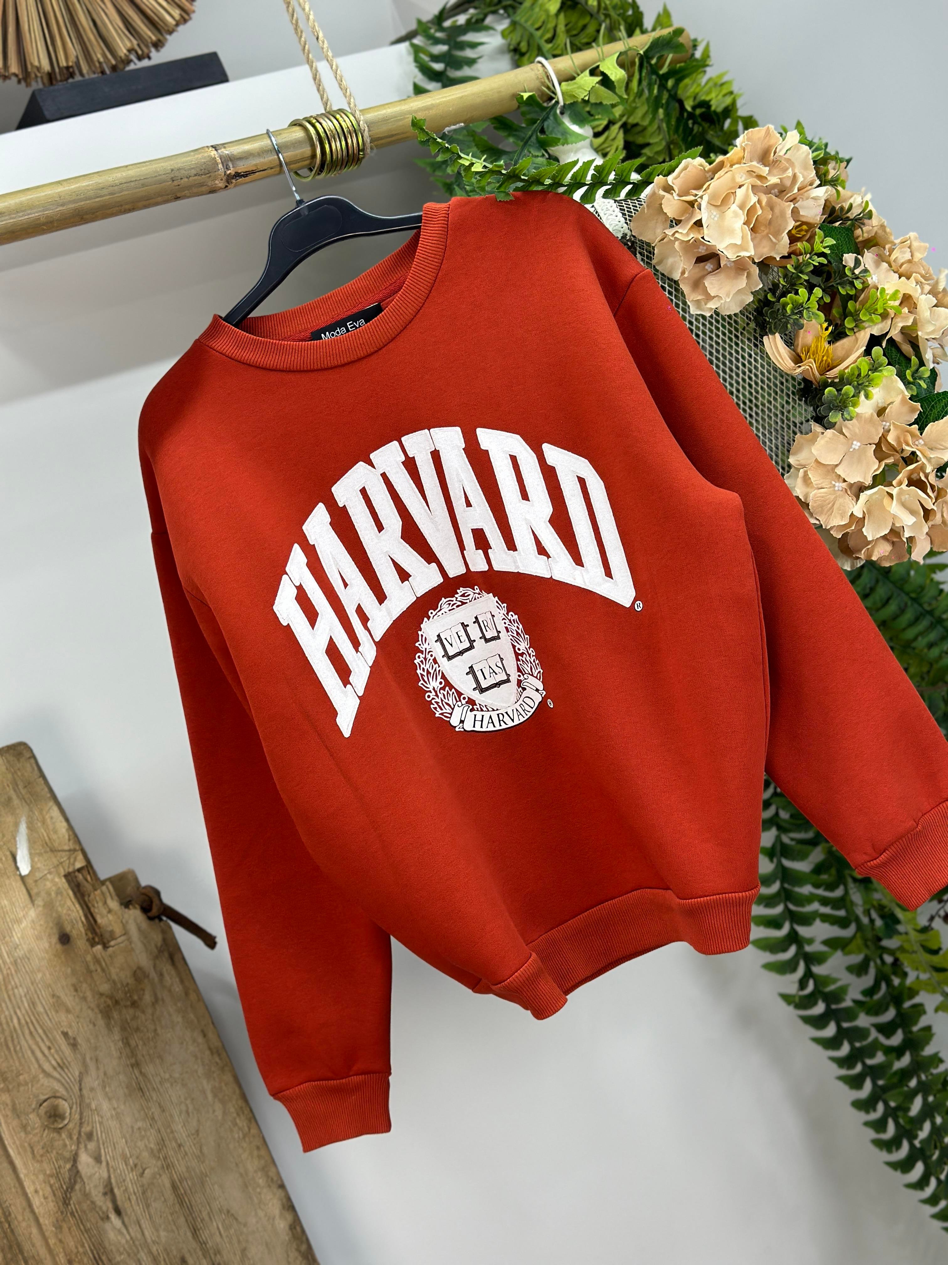 İki İplik Dokuma Harvard Sweat