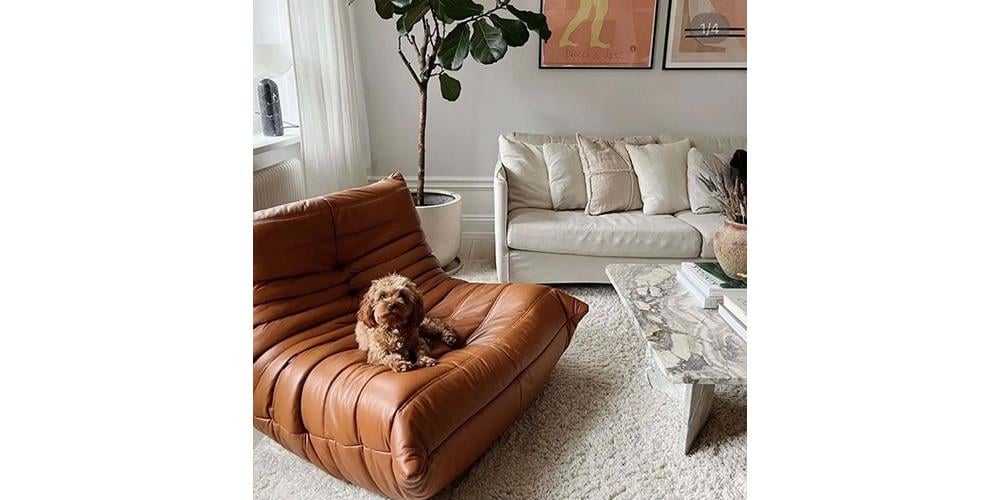 Maserati Rahat Koltuk Takımı