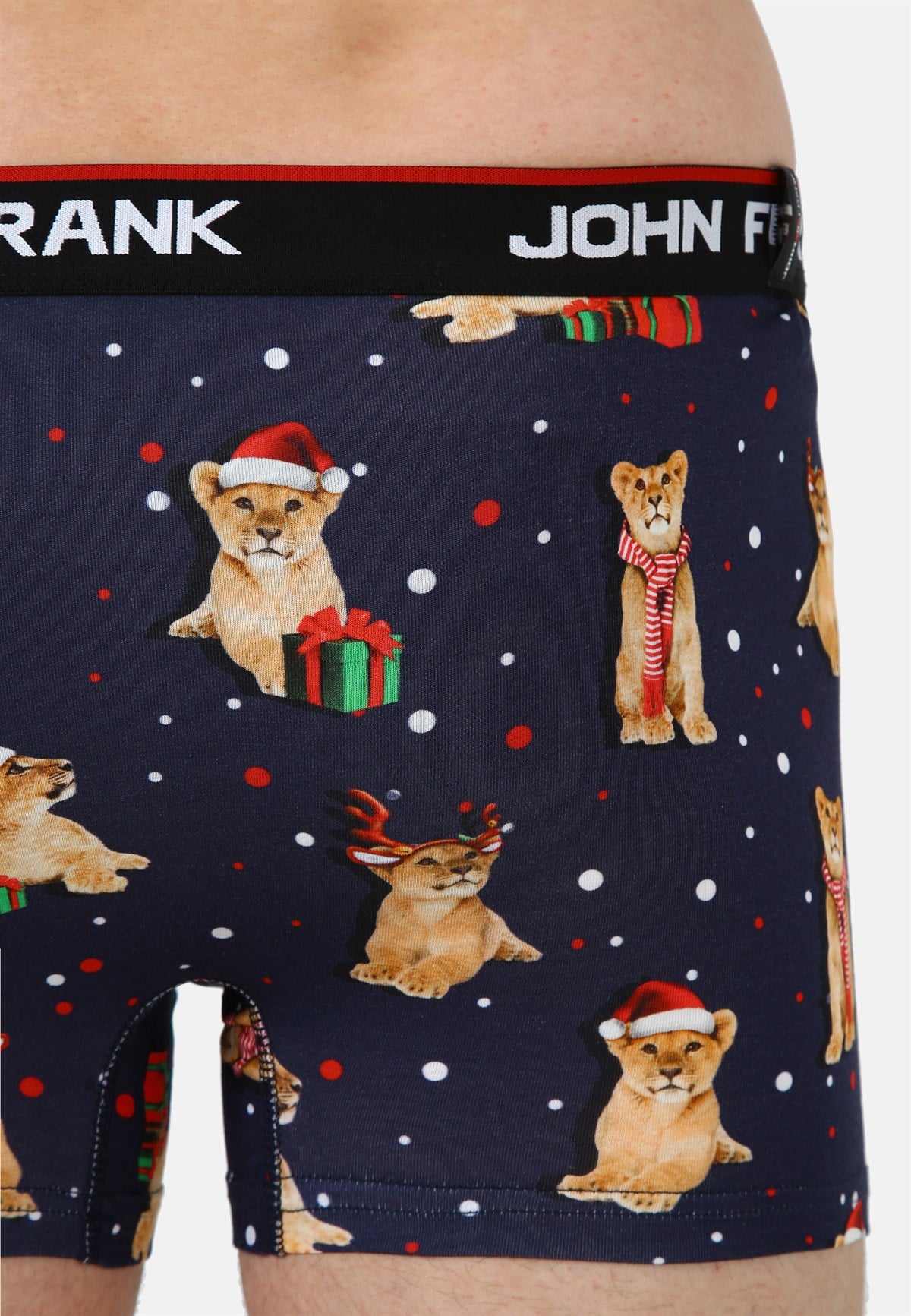 John Frank Party Lion Boxer