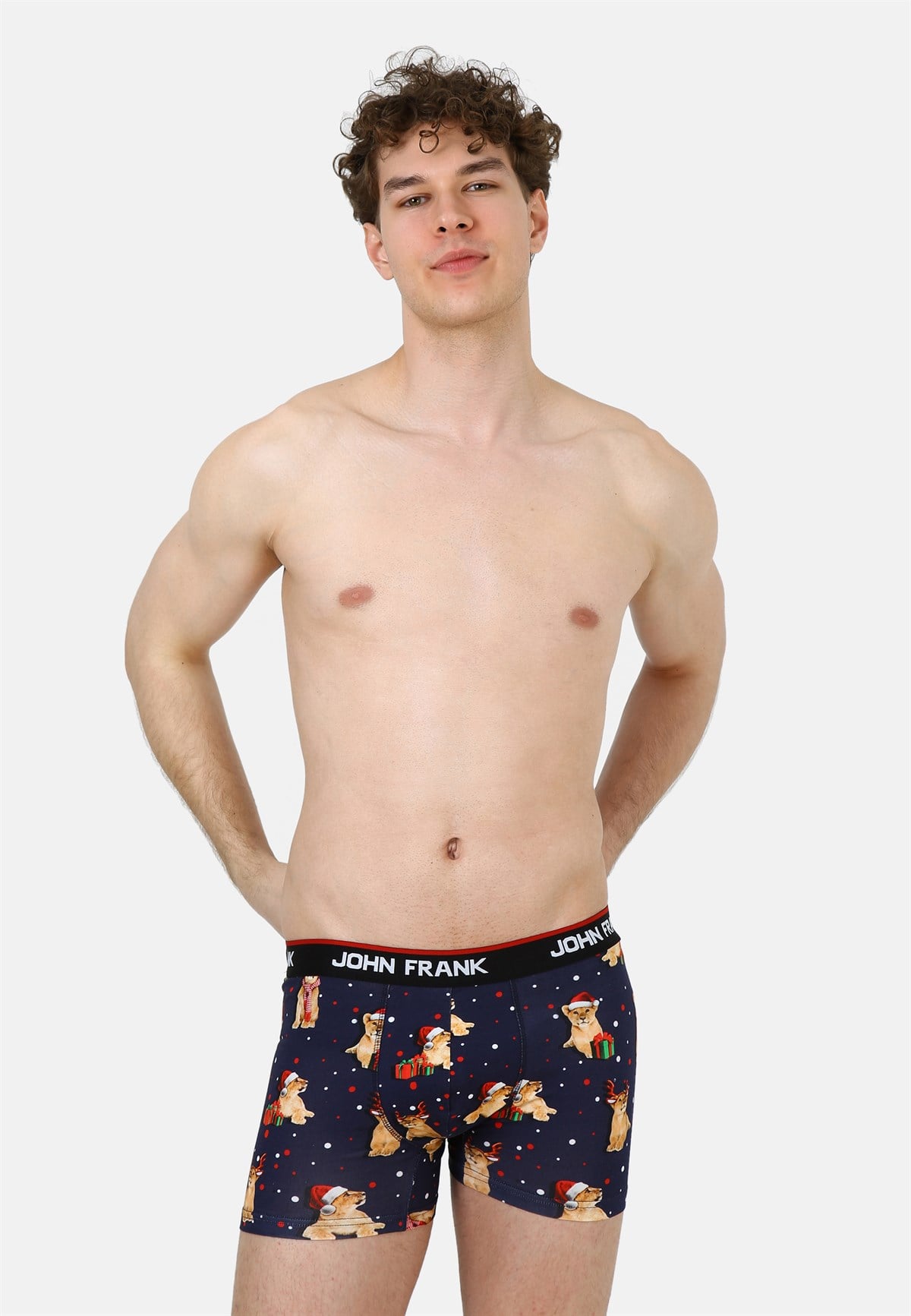 John Frank Party Lion Boxer