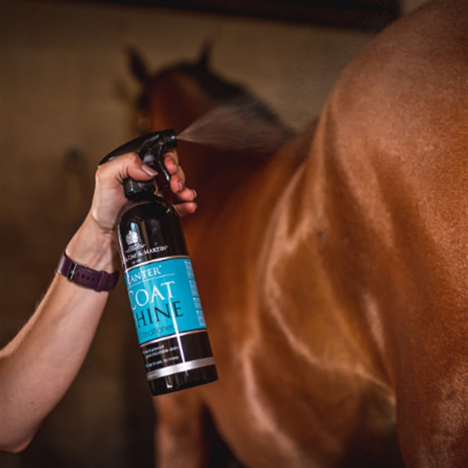 CANTER COAT SHINE 500ML