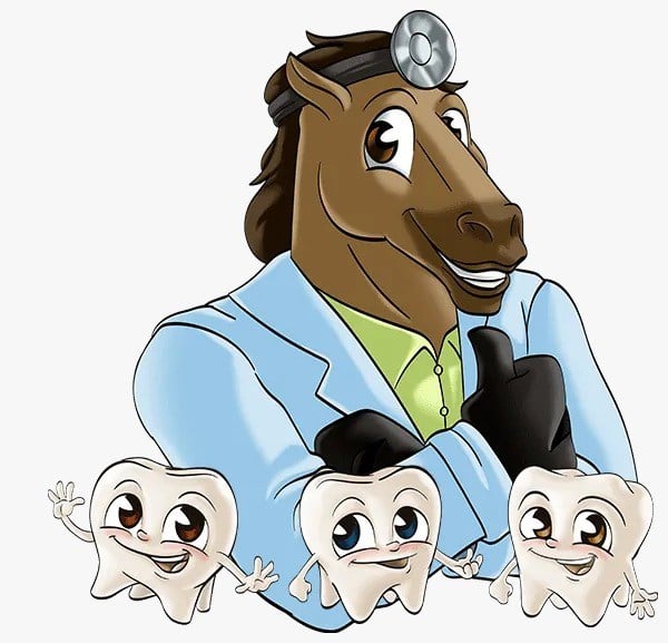 DENTAL CRACKER ESSENTİAL (DİŞ KRAKERİ)