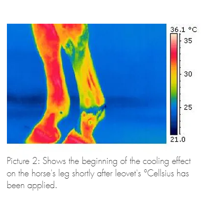 LEOVET °CELLSIUS COOLING GEL 