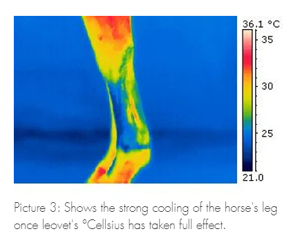 LEOVET °CELLSIUS COOLING GEL 
