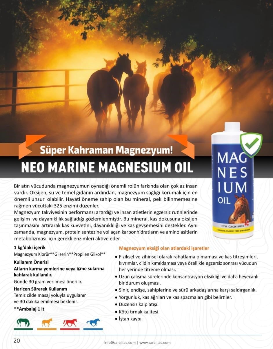 MAGNESIUM OIL 1000 ML