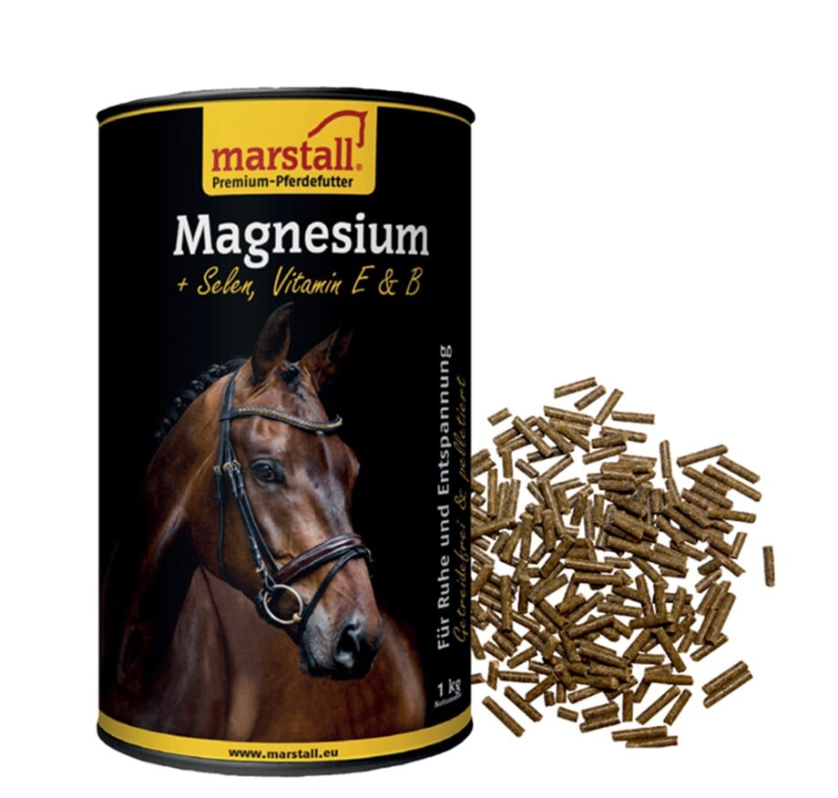 MARSTALL PIANO 1 KG