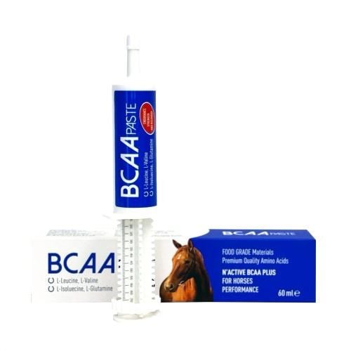 N-ACTIVE BCAA PLUS PASTE 60 ML