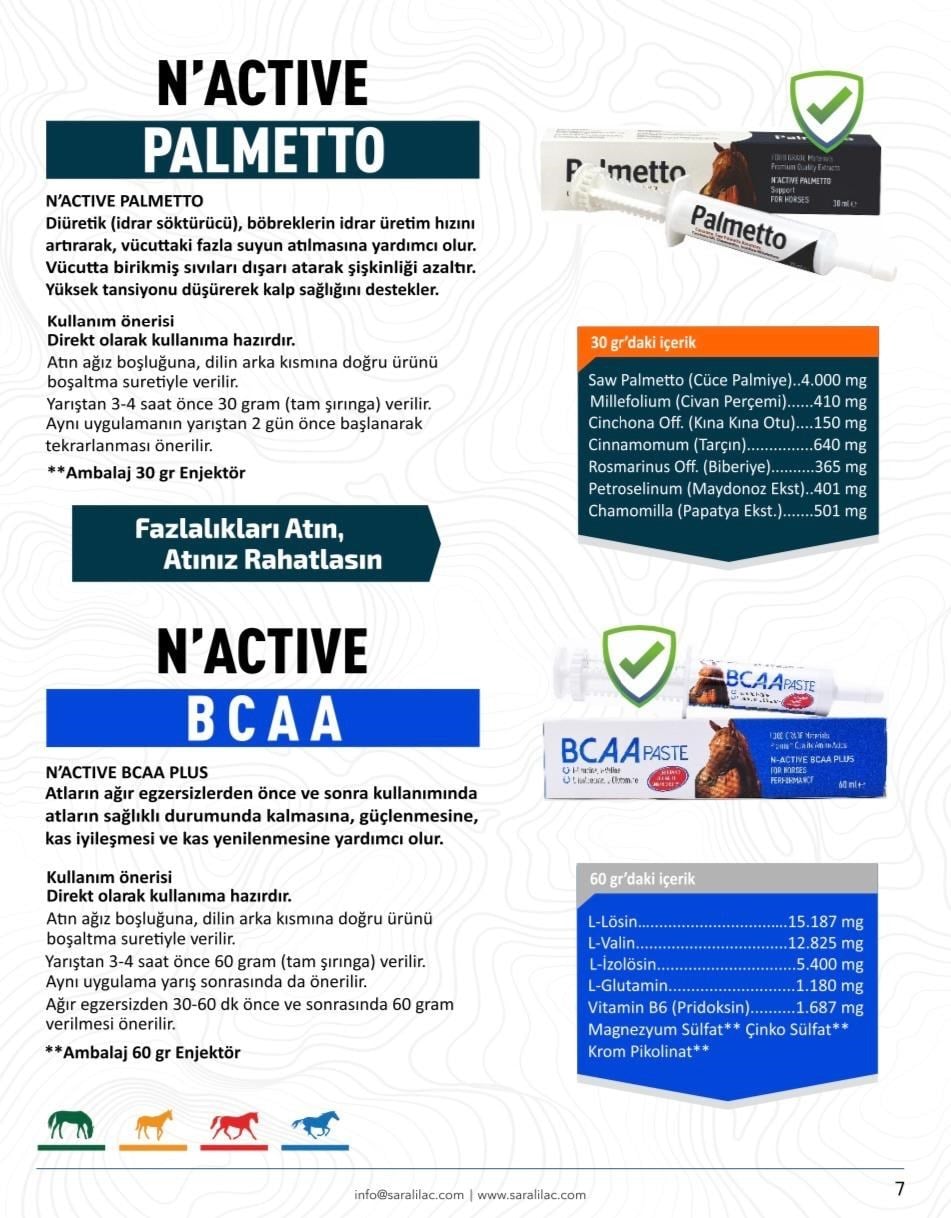 N-ACTIVE BCAA PLUS PASTE 60 ML