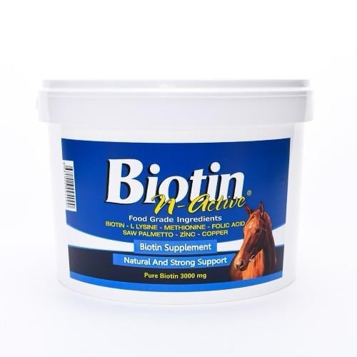 N-ACTIVE BIOTIN 1 KG