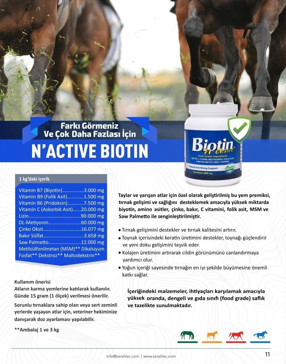 N-ACTIVE BIOTIN 1 KG