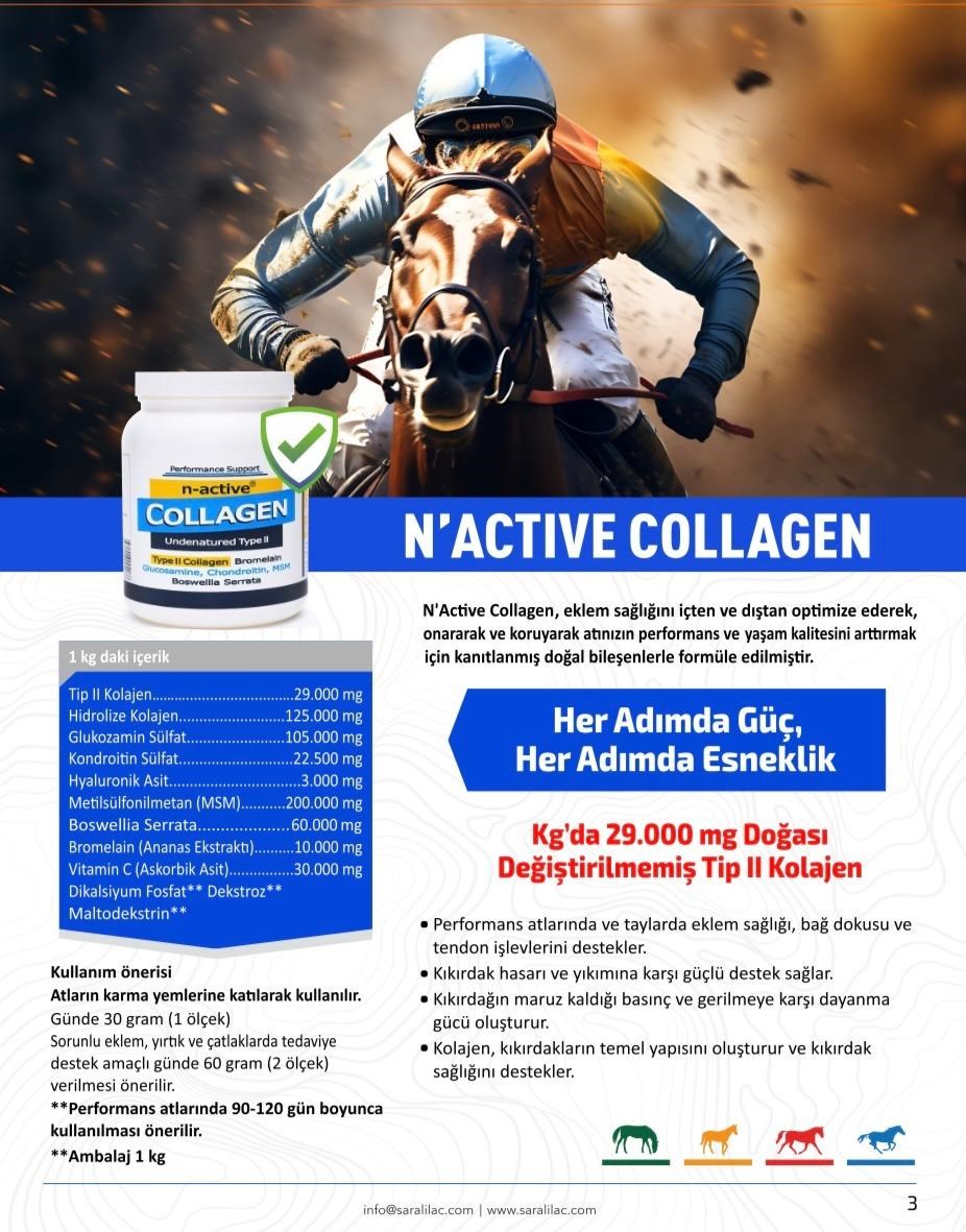 N-ACTIVE COLLAGEN 1 KG