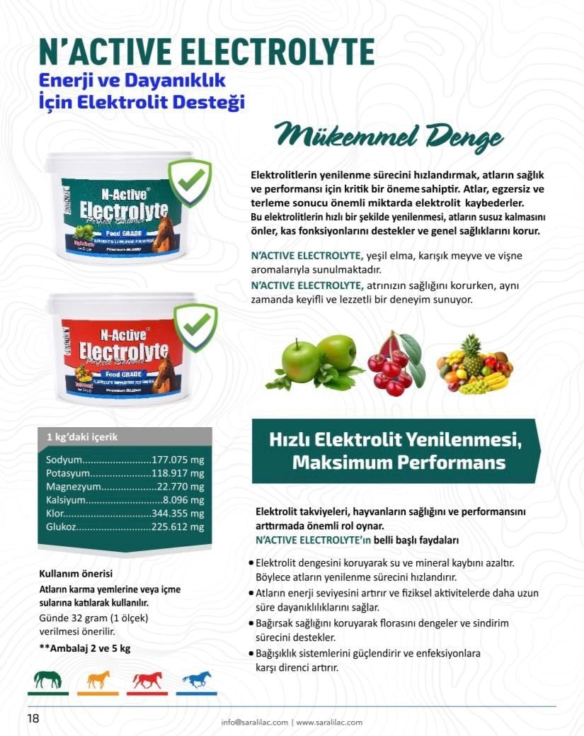 N-ACTİVE ELECTROLYTE 2KG