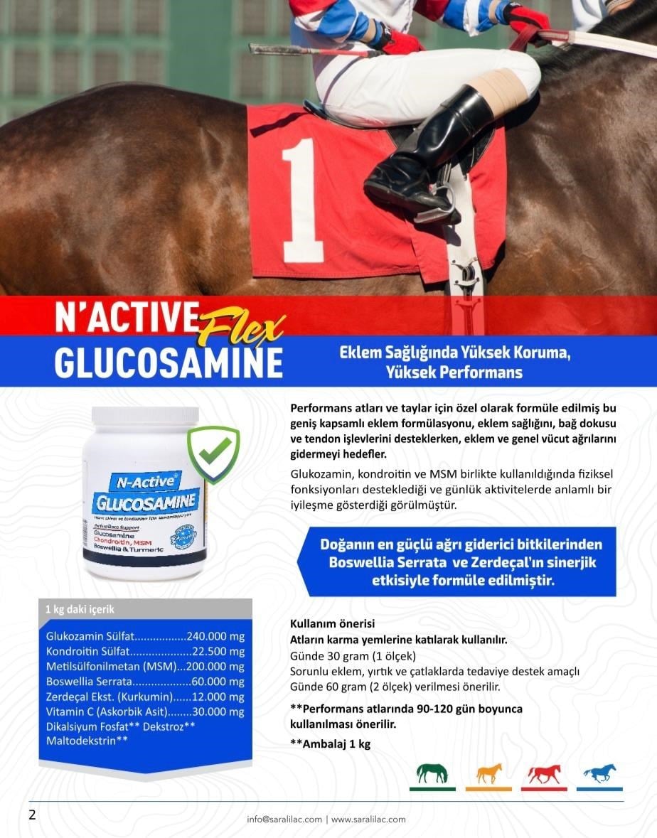 N-ACTIVE GLUCOSAMINE 1 KG