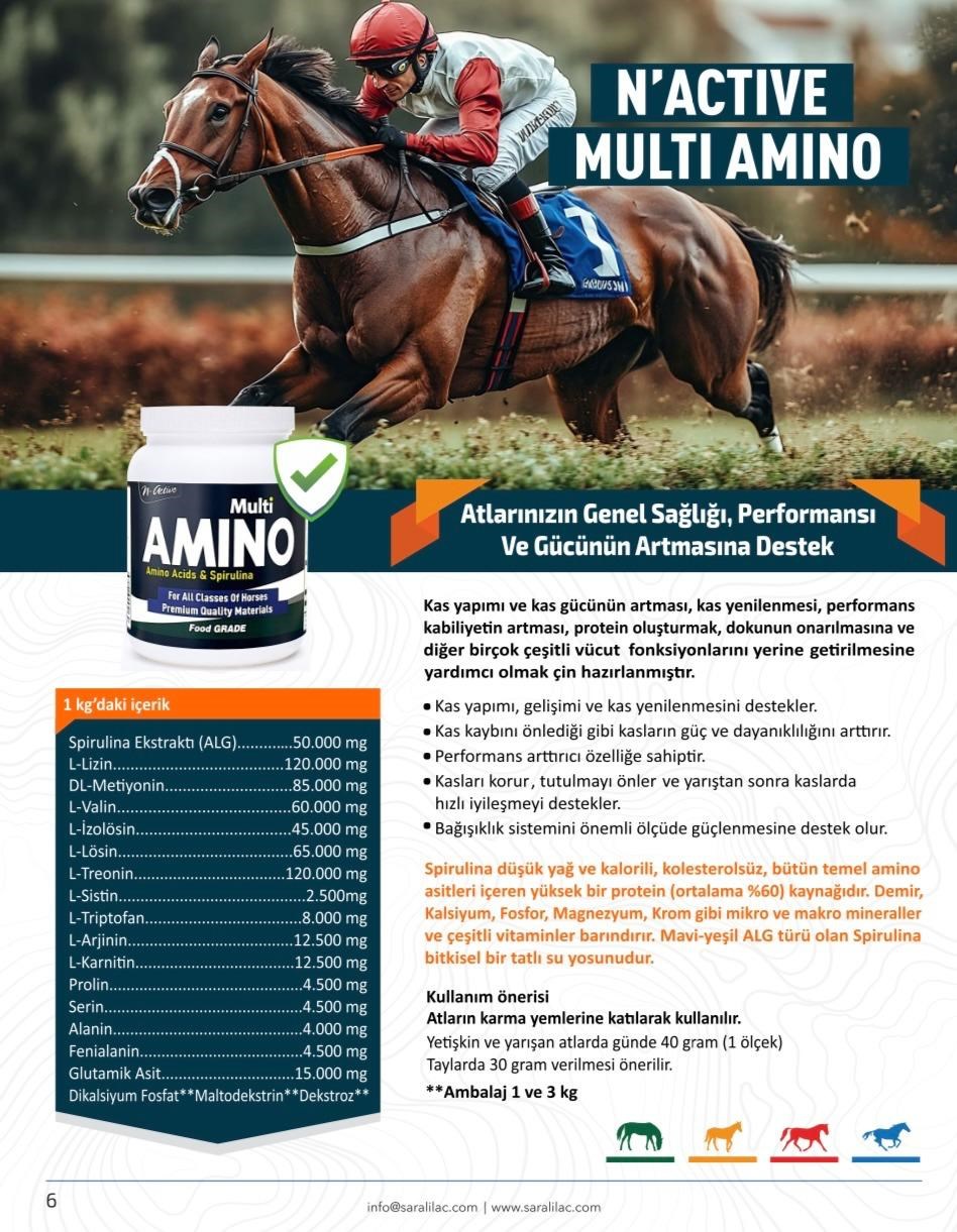 N-ACTIVE MULTI AMINO 1 KG