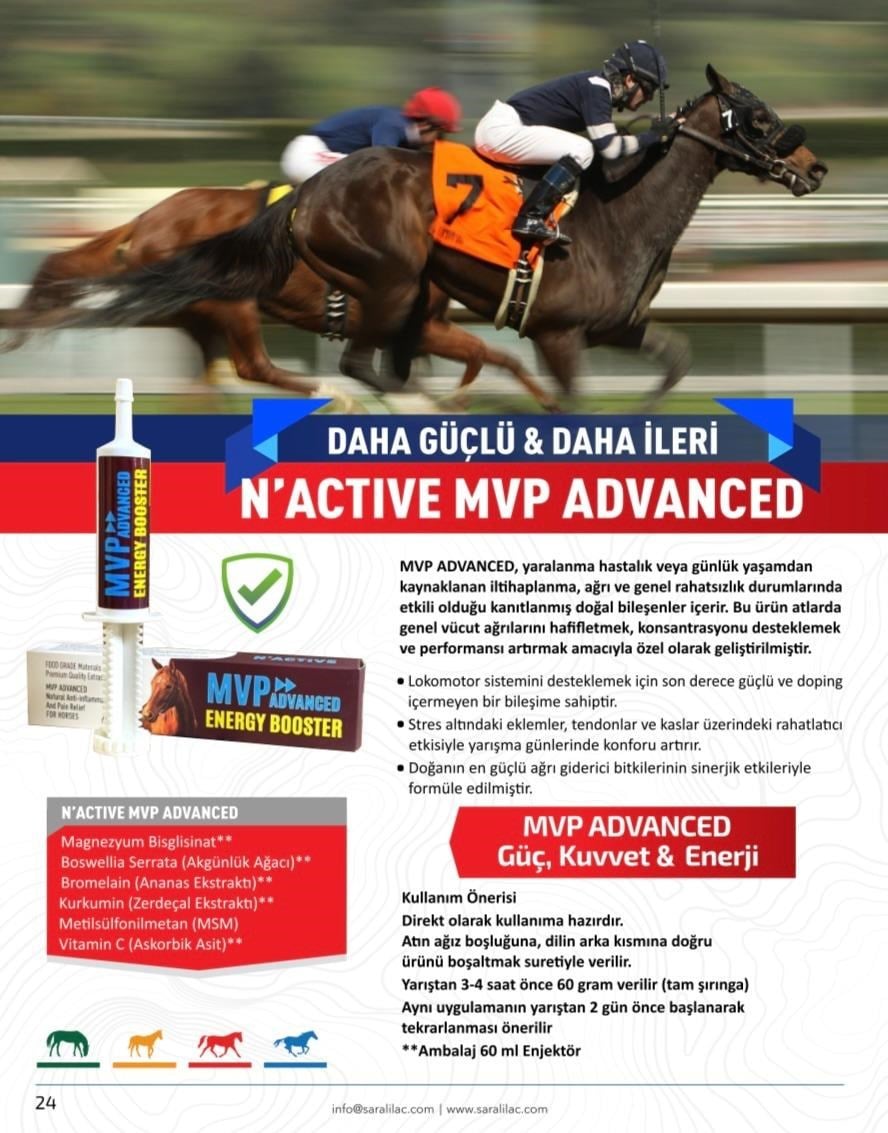 N-ACTIVE MVP PASTE 60 ML