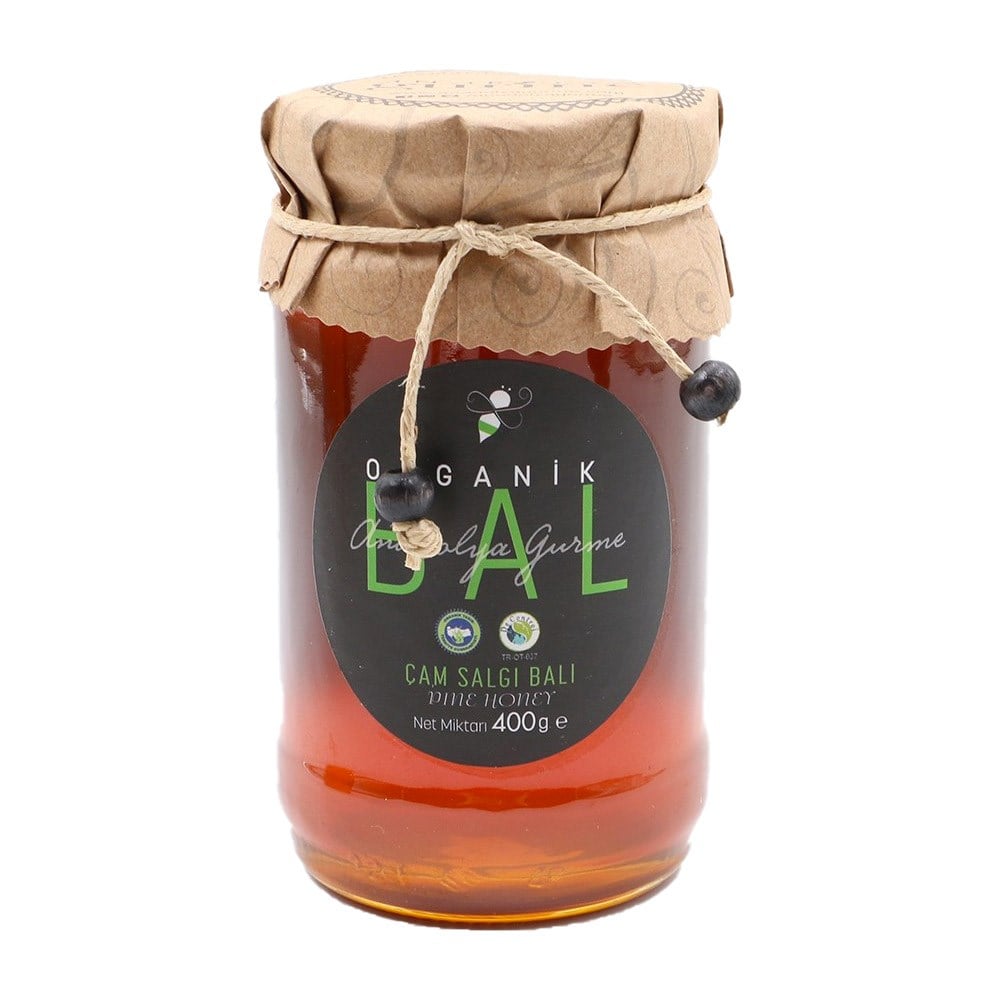 ANADOLYA GURME ORGANİK ÇAM BALI 400 GR
