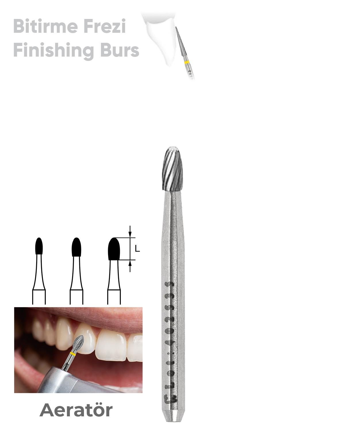 500314279Bos Aeratör Tungsten Karbit Uç Elmassız Labut (Doku koruyucu), Bitirme Frez