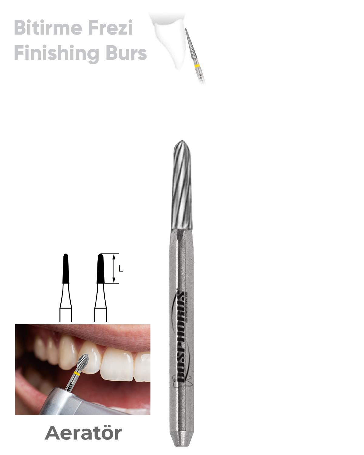 500314297Bos Aeratör Tungsten Karbit Yuvarlak Bitim Konik, Bitirme Frez