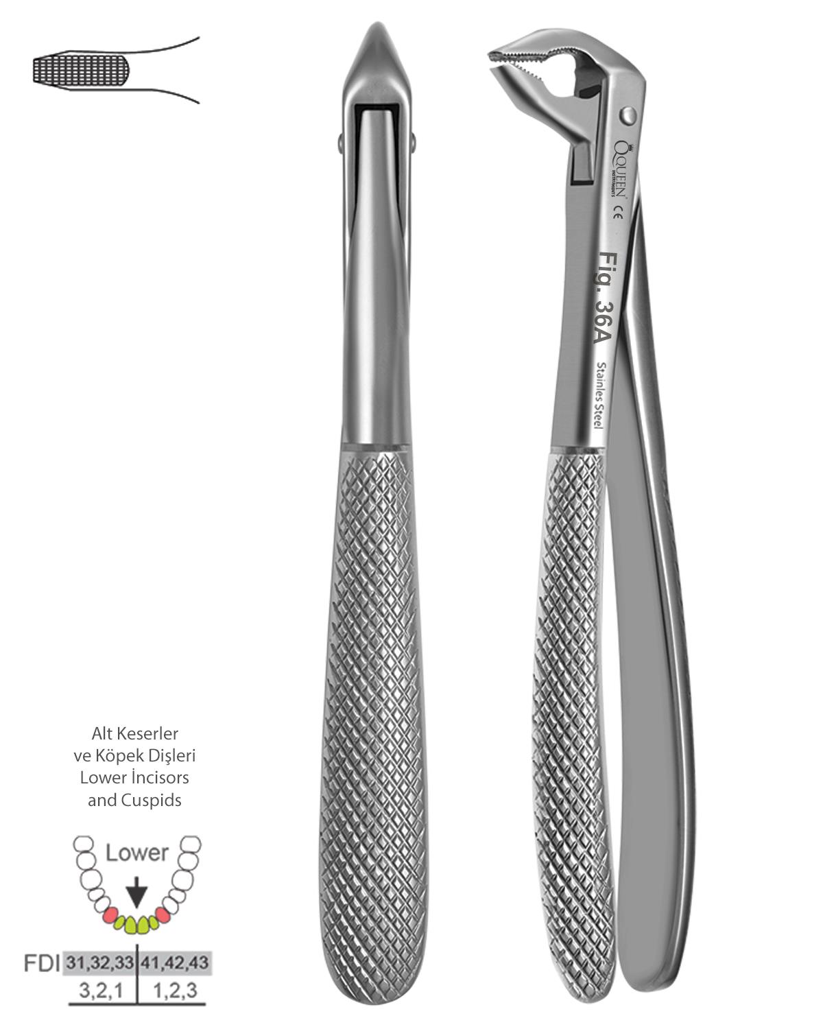 Alt Kesici Davyesi Fig. 36A 14cm