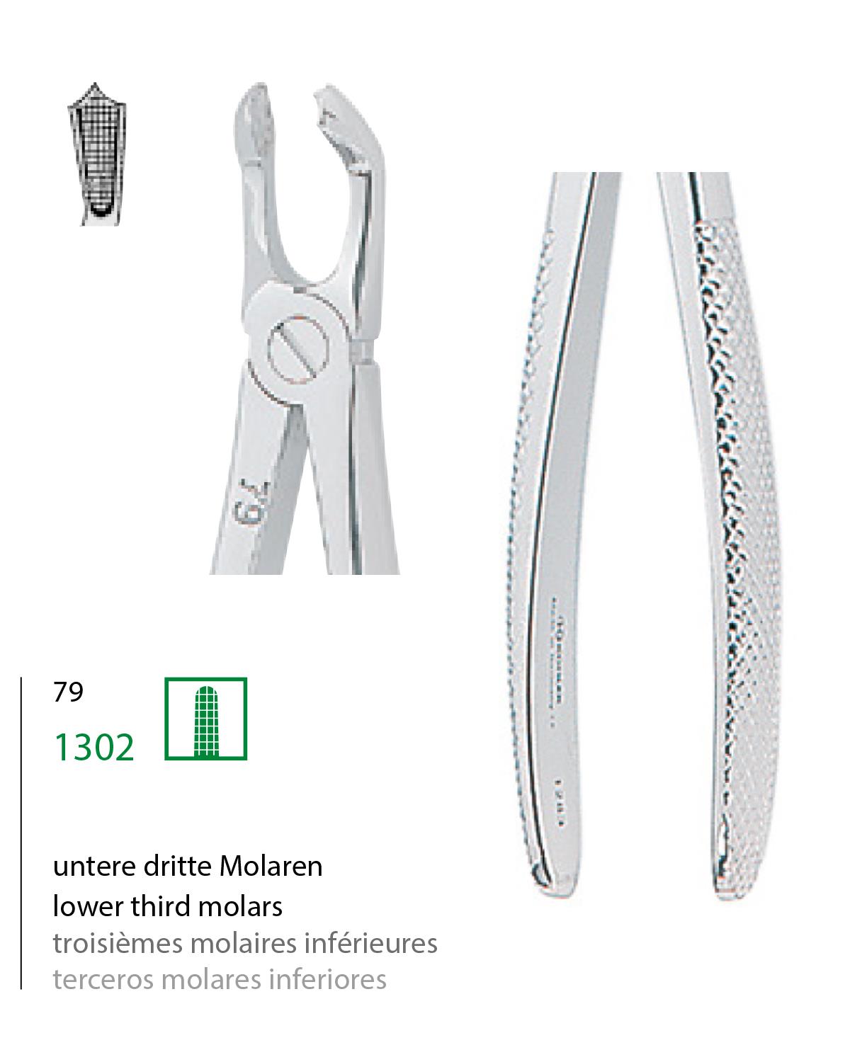 Alt Yirmi Yaşlar Davyesi Fig. 79