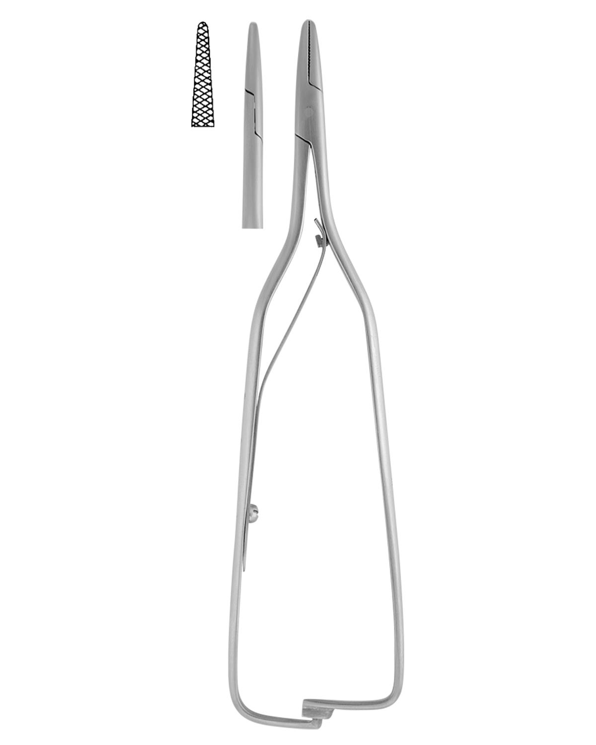 Düz Avuç içi Portegü Arruga 16cm