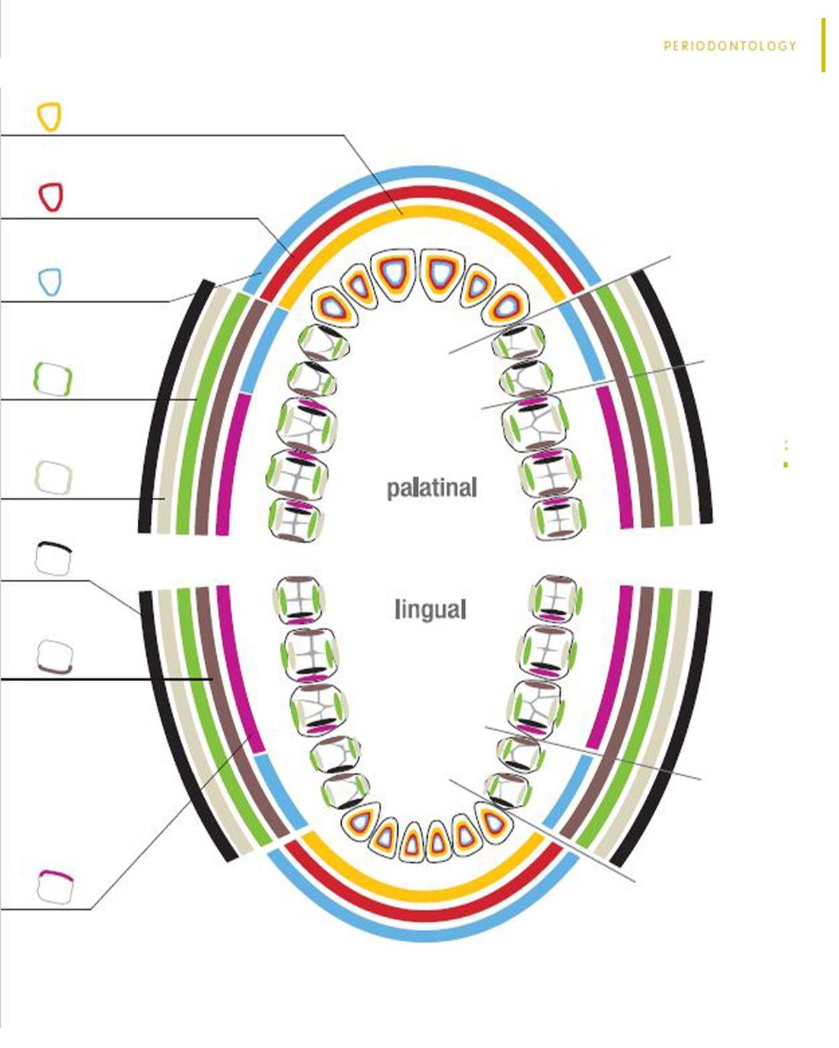 Gracey Küret DURABILITY Standart Gracey 7 Ad./Kaset