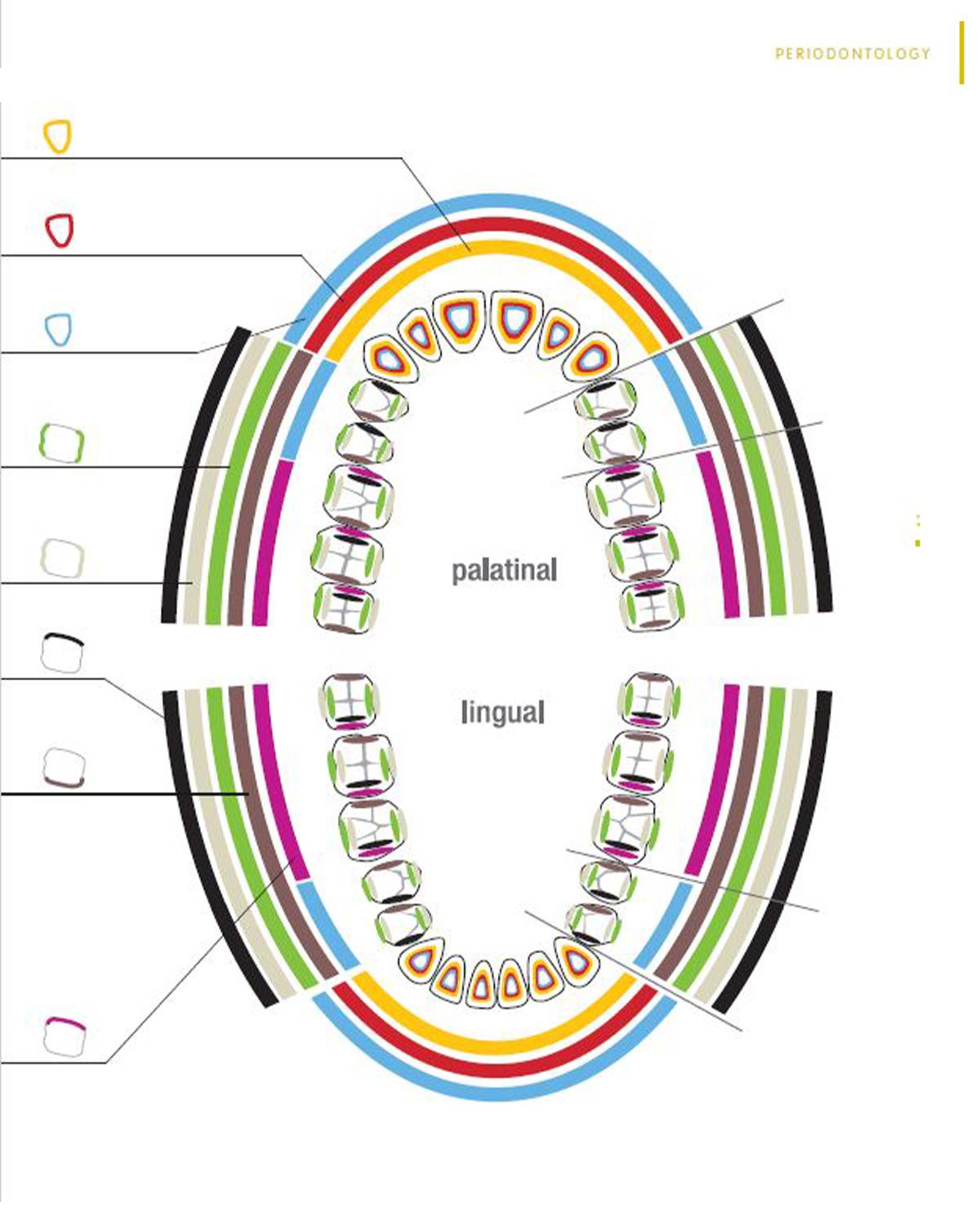 Gracey Küret Standart Gracey 7 Ad./Kaset